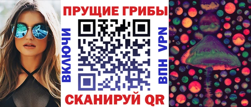 купить наркотик  Назрань  Псилоцибиновые грибы Psilocybe 